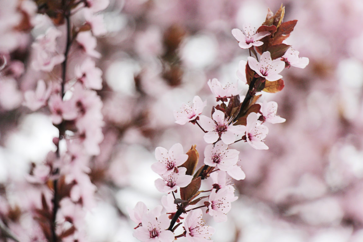 Ein Redesign für YoudidDesign