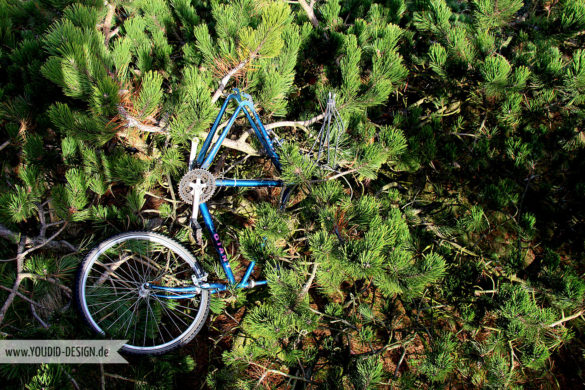 Fahrrad oben in den Bäumen | www.youdid-design.de