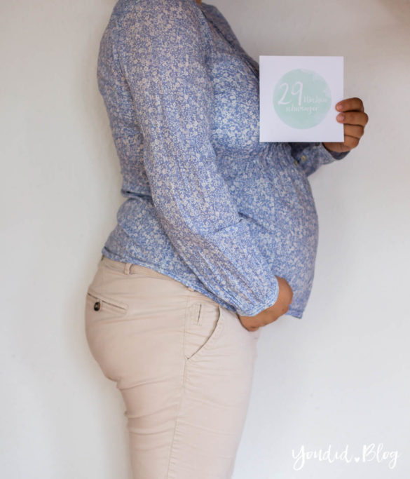 29. Schwangerschaftswoche Schwangerschaftsupdate Babybauch Baby Bump Bauchfotos Baby Belly Pregnancy Journal | https://youdid.blog