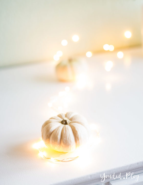 Minimalistische Herbstdeko Baby Boo Kürbisse mit Sukkulenten Sukkulente Tischdeko - minimalistic autumn decor white pumpkin with succulents table decoration | https://youdid.blog