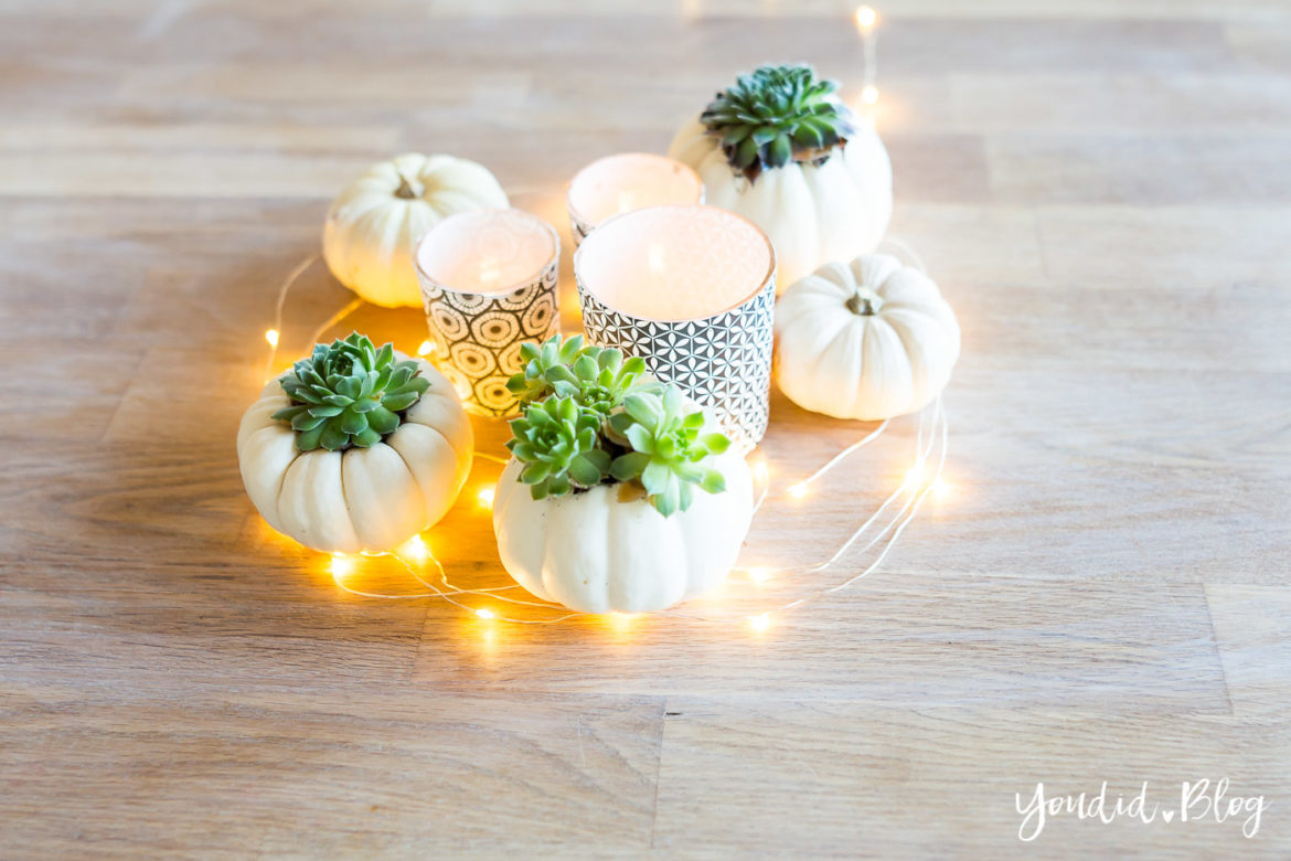 Minimalistische Herbstdeko Baby Boo Kürbisse mit Sukkulenten bepflanzen Sukkulente Tischdeko - minimalistic autumn decor pumpkin with succulents table decoration | https://youdid.blog