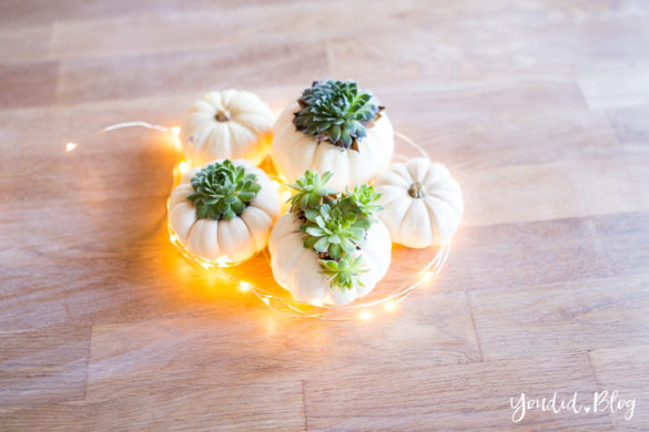 Minimalistische Herbstdeko Baby Boo Kürbisse mit Sukkulenten bepflanzen Tischdeko - minimalistic autumn decor white pumpkin with succulents table decoration | https://youdid.blog