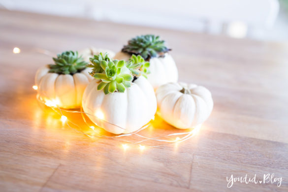 Minimalistische Herbstdeko Baby Boo Kürbisse mit Sukkulenten bepflanzen - minimalistic autumn decor white pumpkin with succulents table decoration | https://youdid.blog